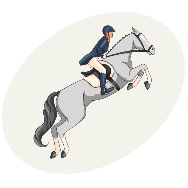 Horse Jumping